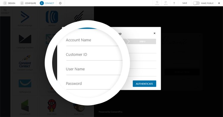 How to Integrate Convert Pro with CleverReach? CleverReach 2 1